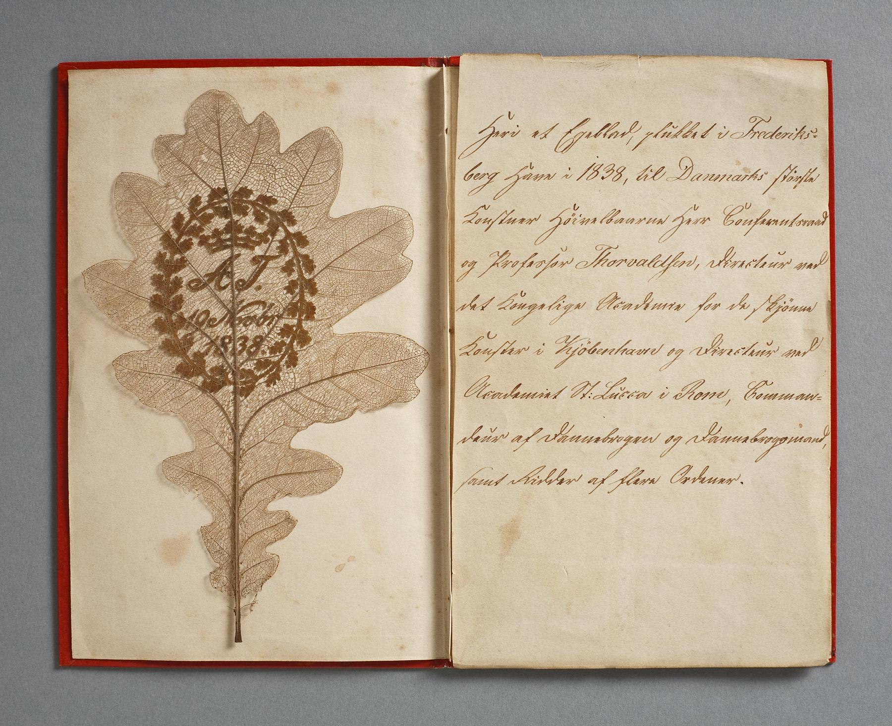 Folder with a dried oak leaf, N228