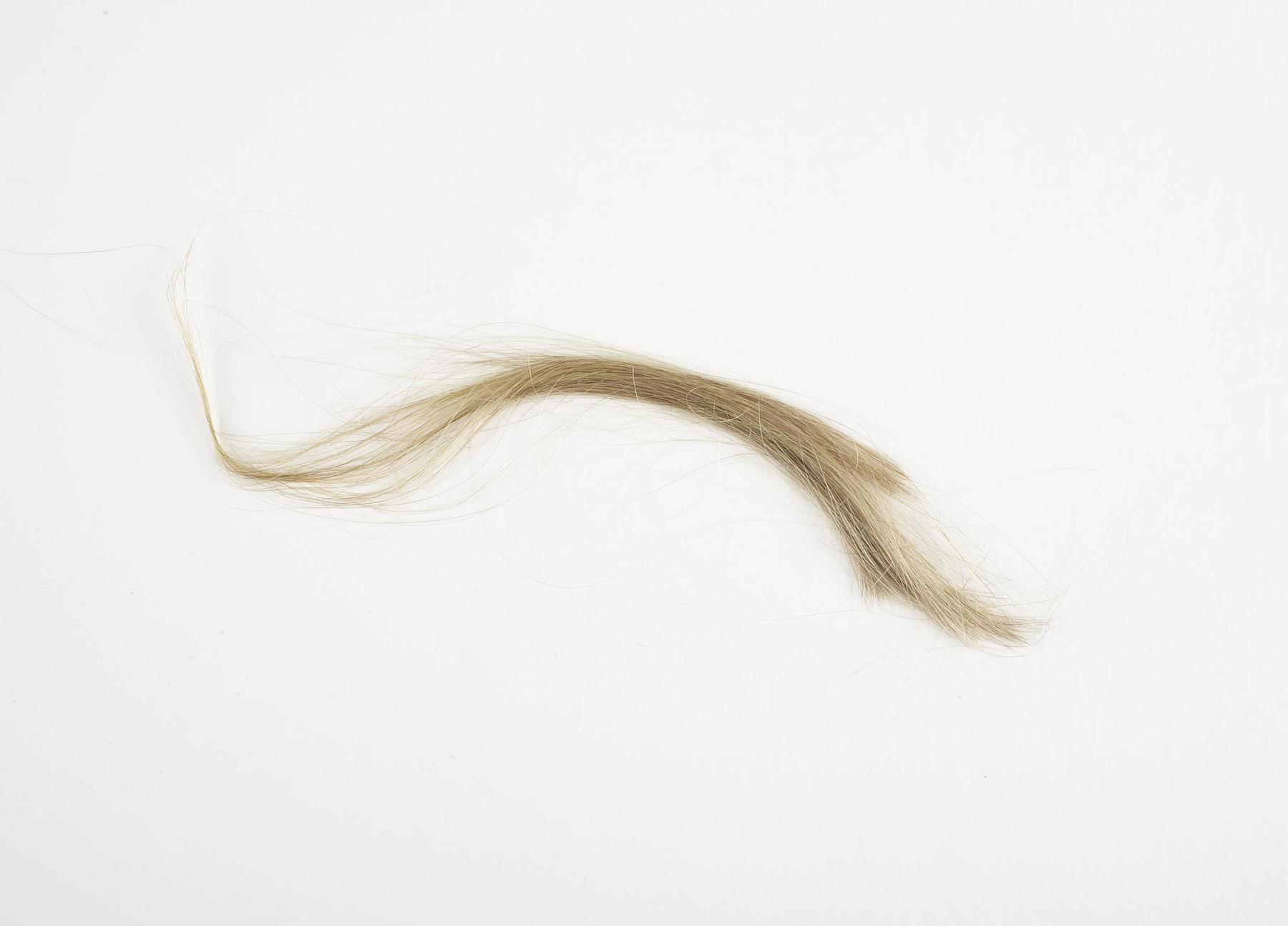 Lock of Thorvaldsen's hair, N230