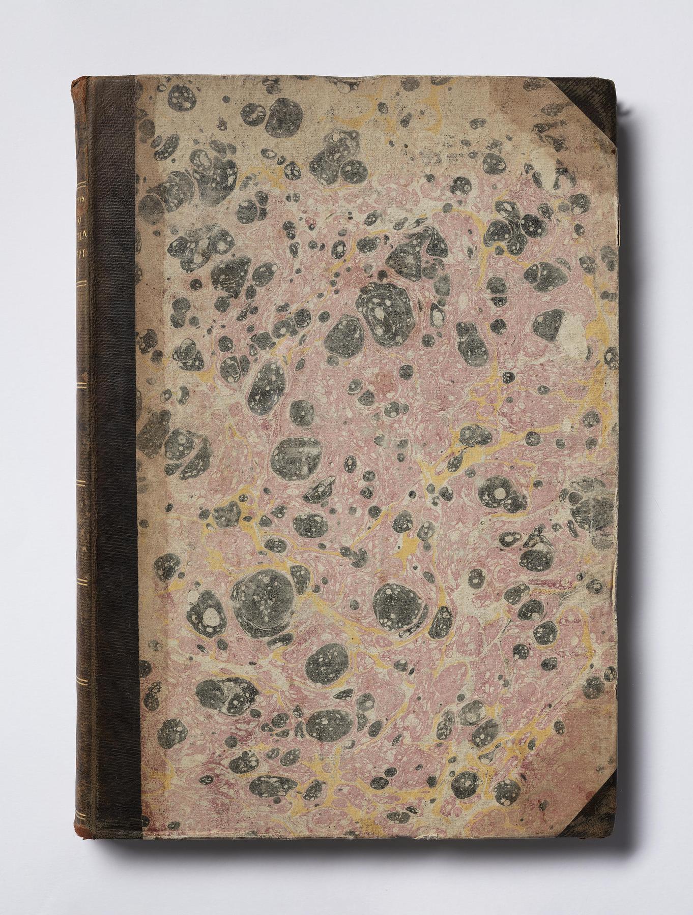 Di Alberto Durero pittore, e geometra chiarissimo. Della simmetria de i corpi humani, Libri Quattro. Nuouamente tradotti dalla lingua Latina nella Italiana, da m. Gio. Paolo Gallucci Salodiano. Et accresciuti del quinto libro [...], M678