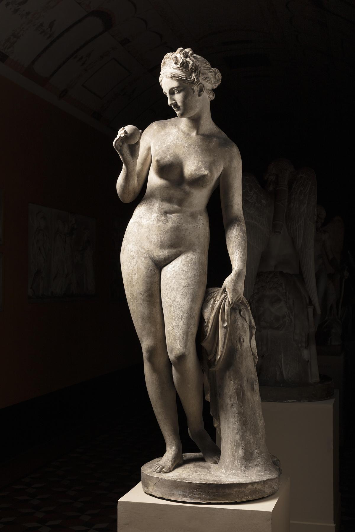 Venus with the Apple, A12