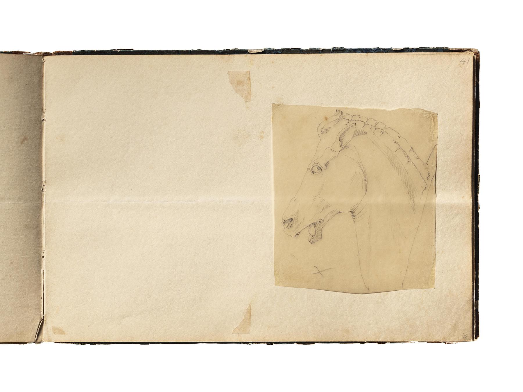 Hestehoved, D1827,65
