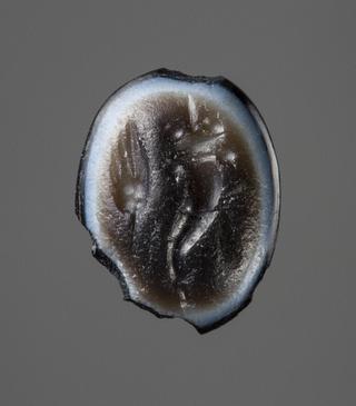 I170 Cornucopia and an ear of corn