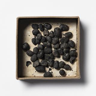 H3403 Carbonized beans from Pompeii
