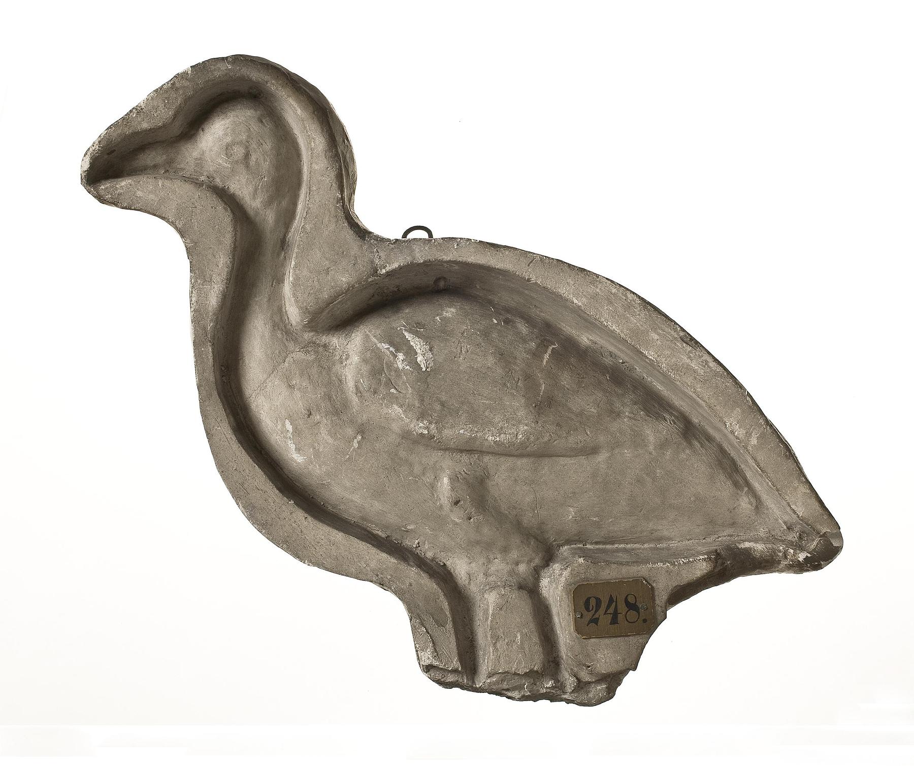 Duck, L248